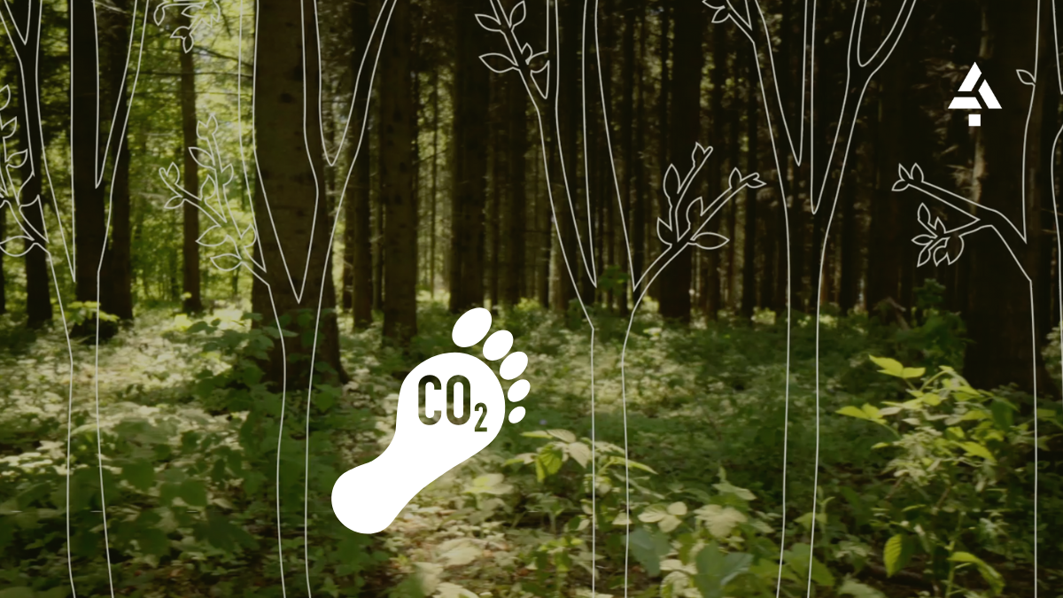 Siluetas de árboles, huella CO₂ y logo de ACE sobre fondo de bosque