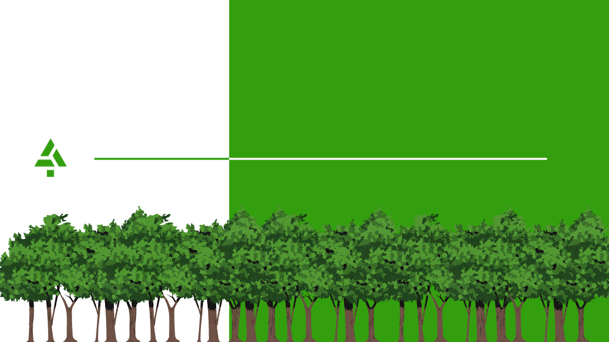 Fondo blanco y verde con logo de ACE sobre bosque